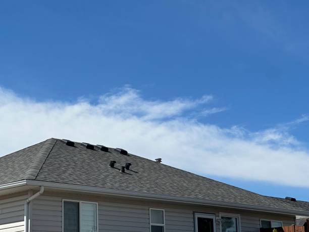 Best Steel Roofing  in Glenview, IL